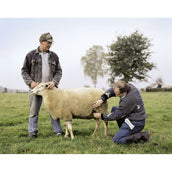Kerbl Trächtigheits Diagnose Gerät für Schafe