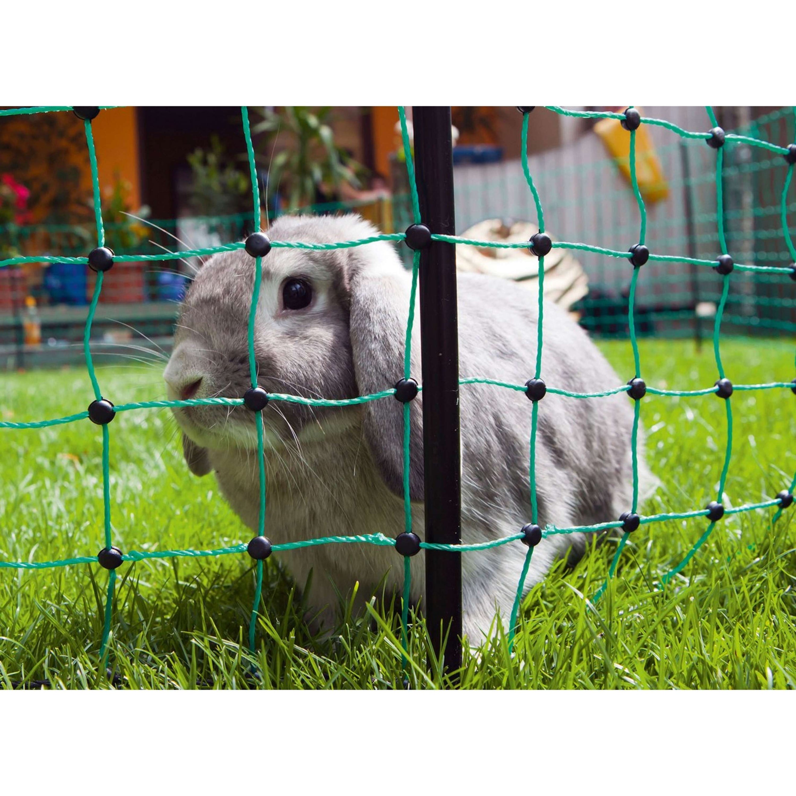 Kerbl Kaninchennetz Einfach Grün Kerbl Kaninchennetz Einfach Grün