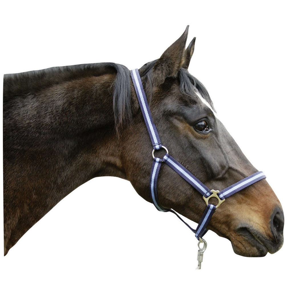 Covalliero Halfter Hippo Marine/Hellblau