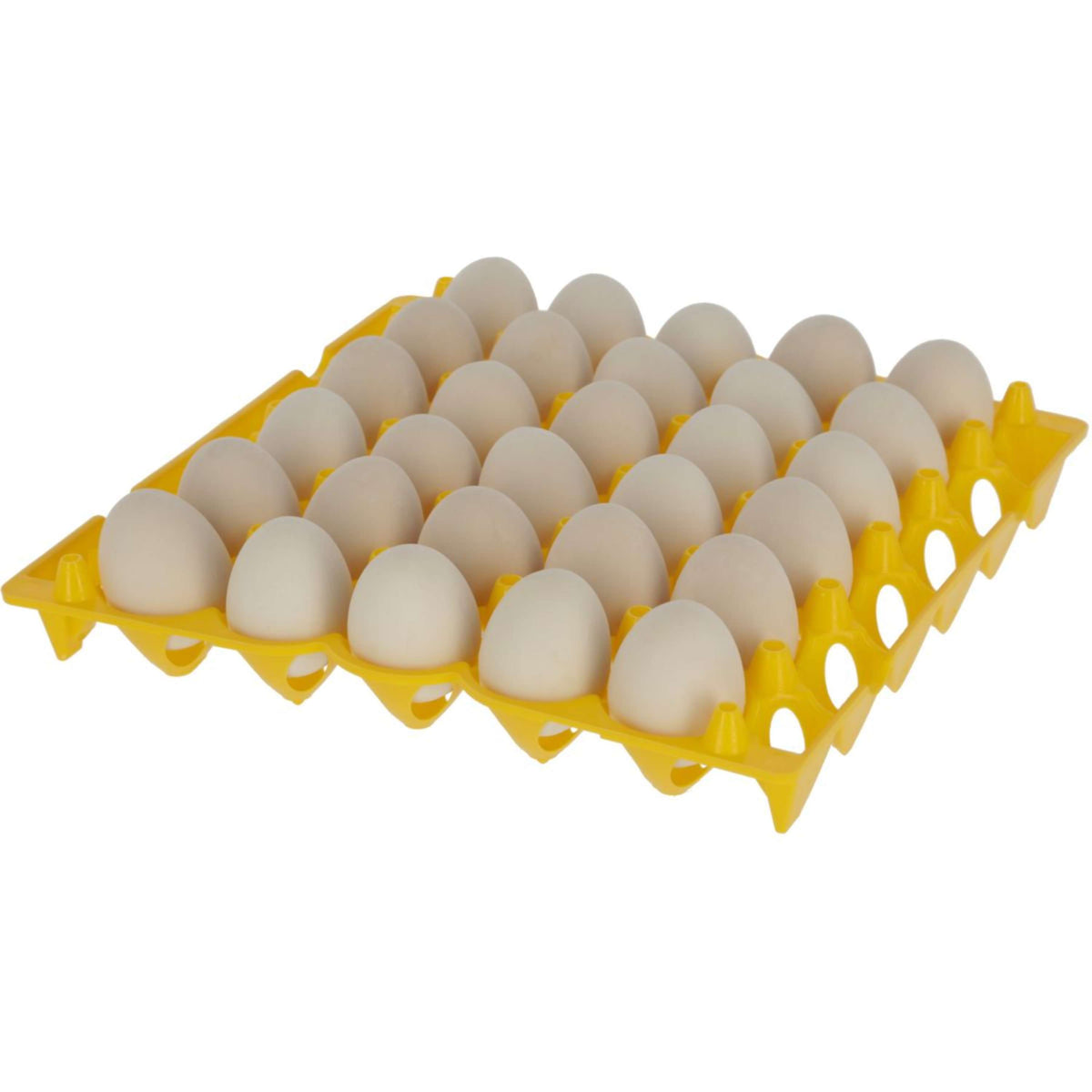 Kerbl Eier Aufbewahrung Kunststoff