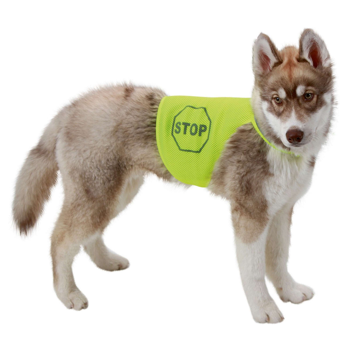 Kerbl Sicherheitsweste für Hunde