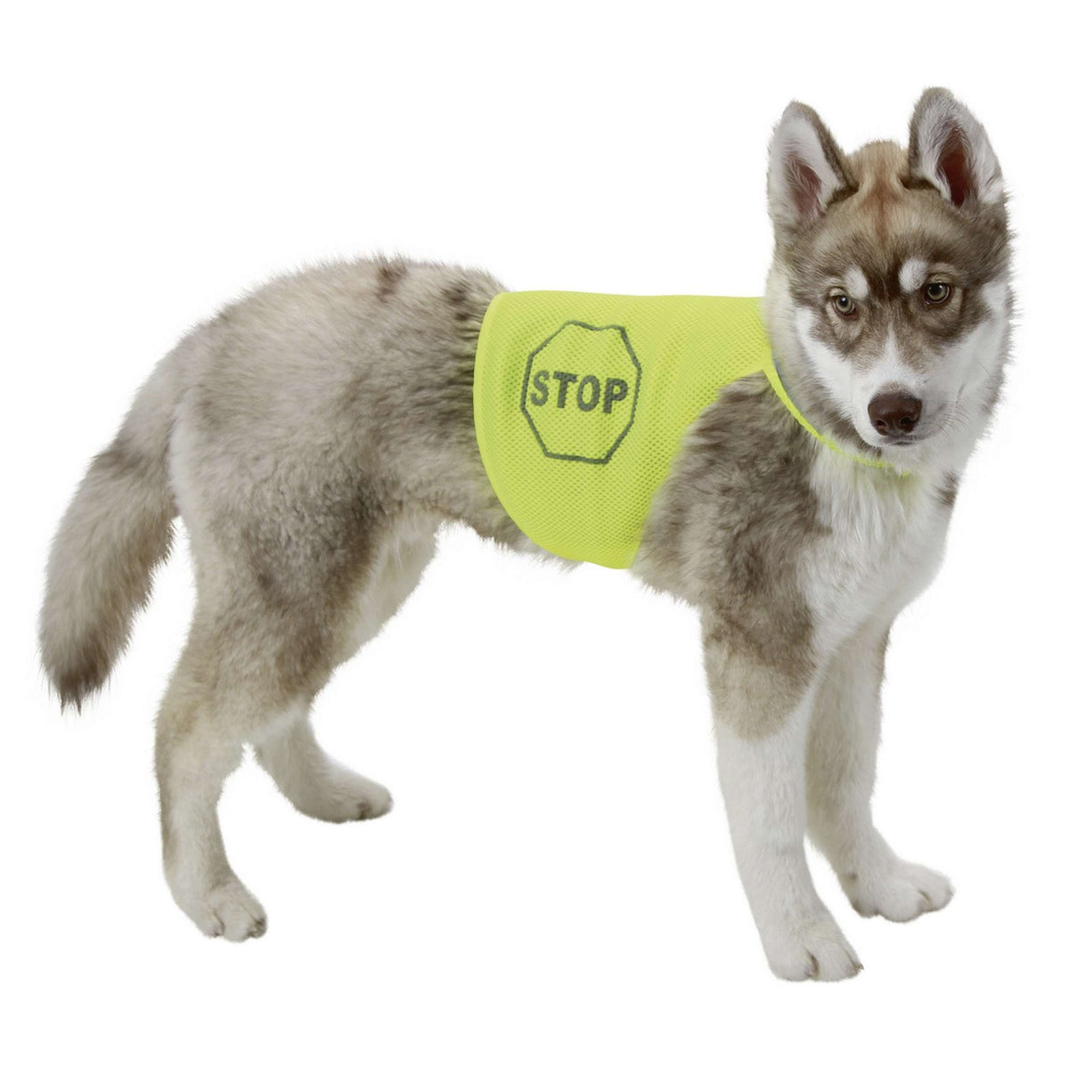 Kerbl Sicherheitsweste für Hunde