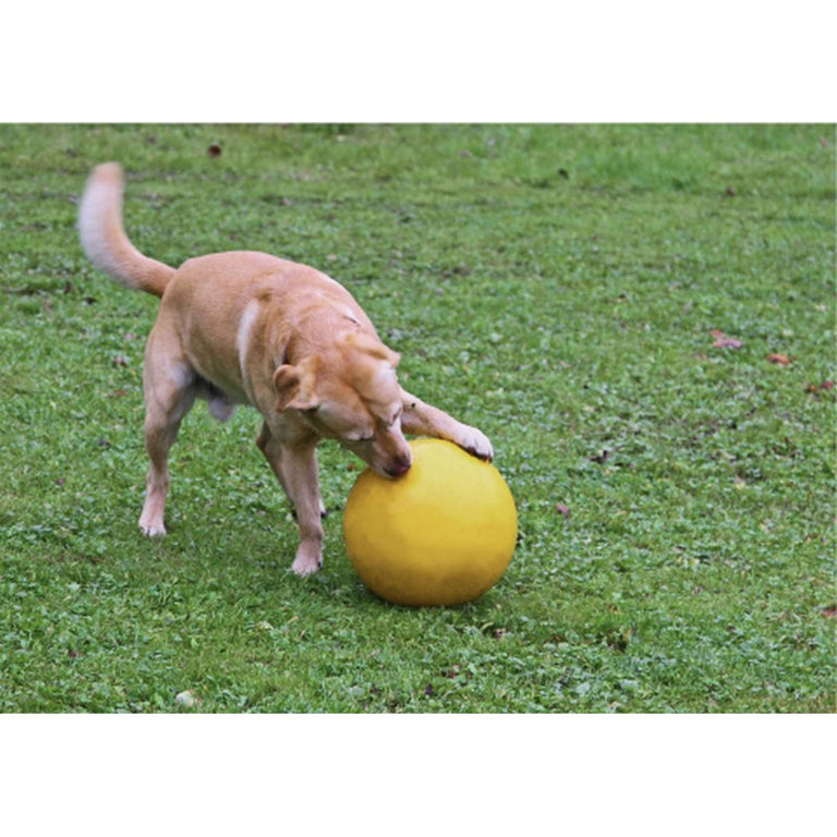 Kerbl Hundespielball Kunststoff Gelb