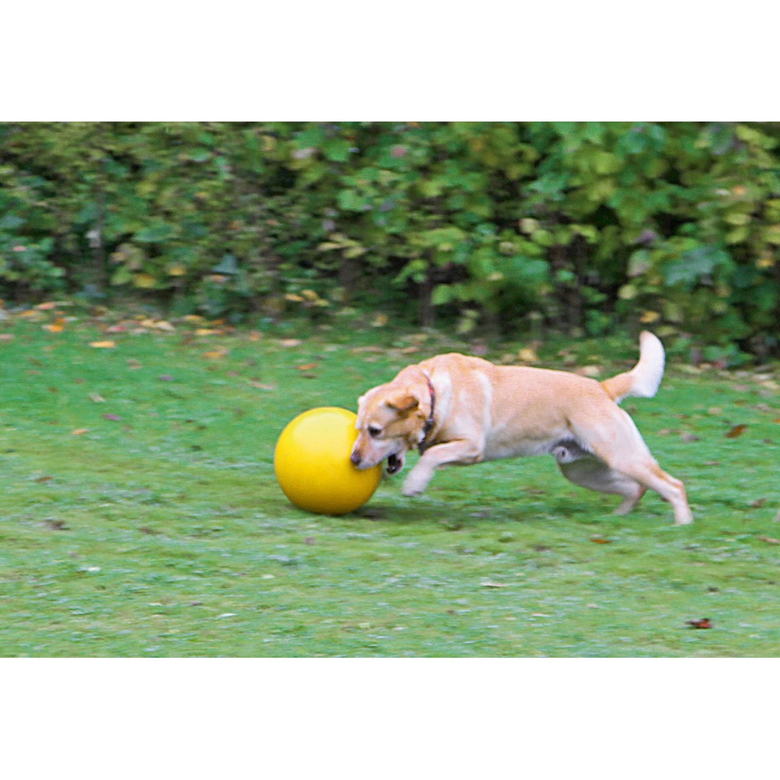 Kerbl Hundespielball Kunststoff Gelb Kerbl Hundespielball Kunststoff Gelb