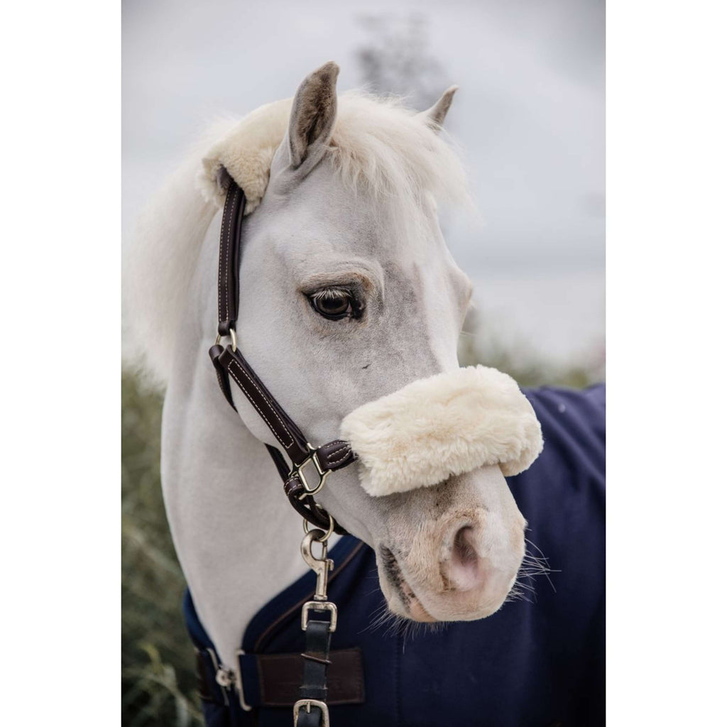 Kentucky Lederhalfter Leder mit Schaffell