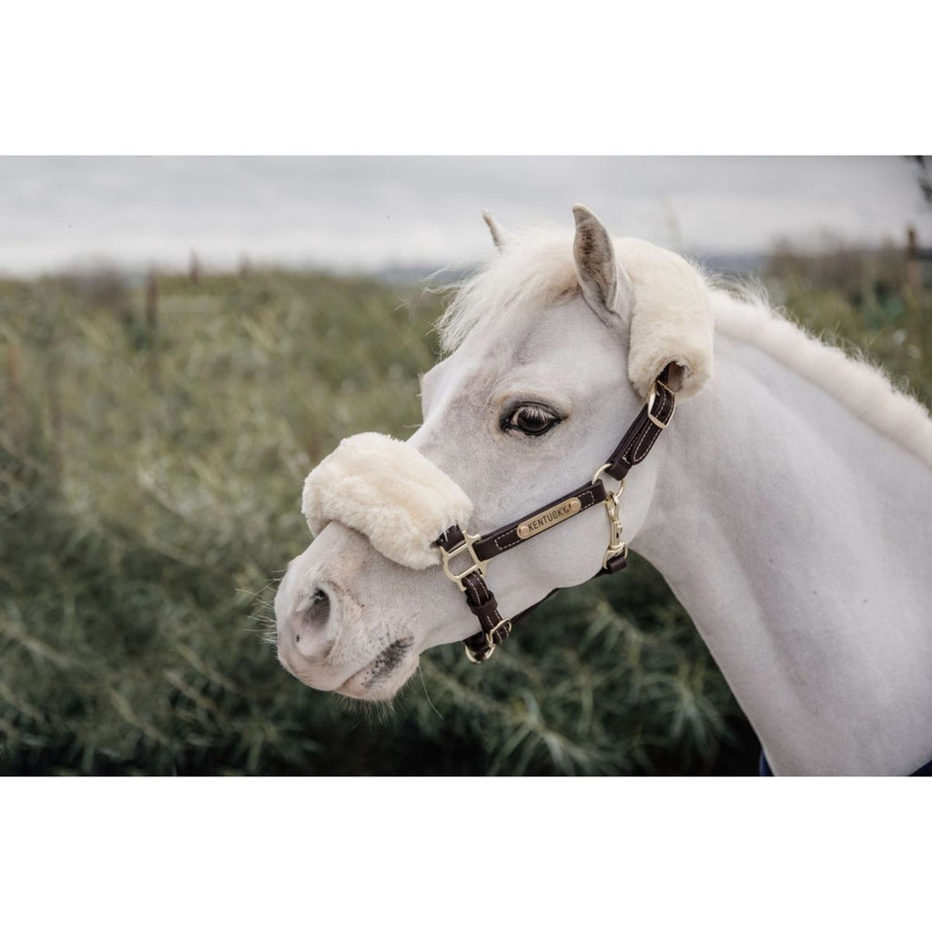 Kentucky Lederhalfter Leder mit Schaffell