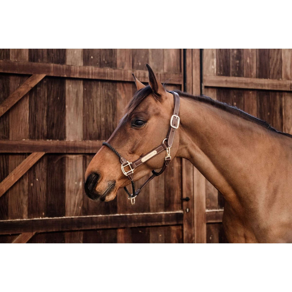 Kentucky Halfter Aus Leder und Seil Schwarz