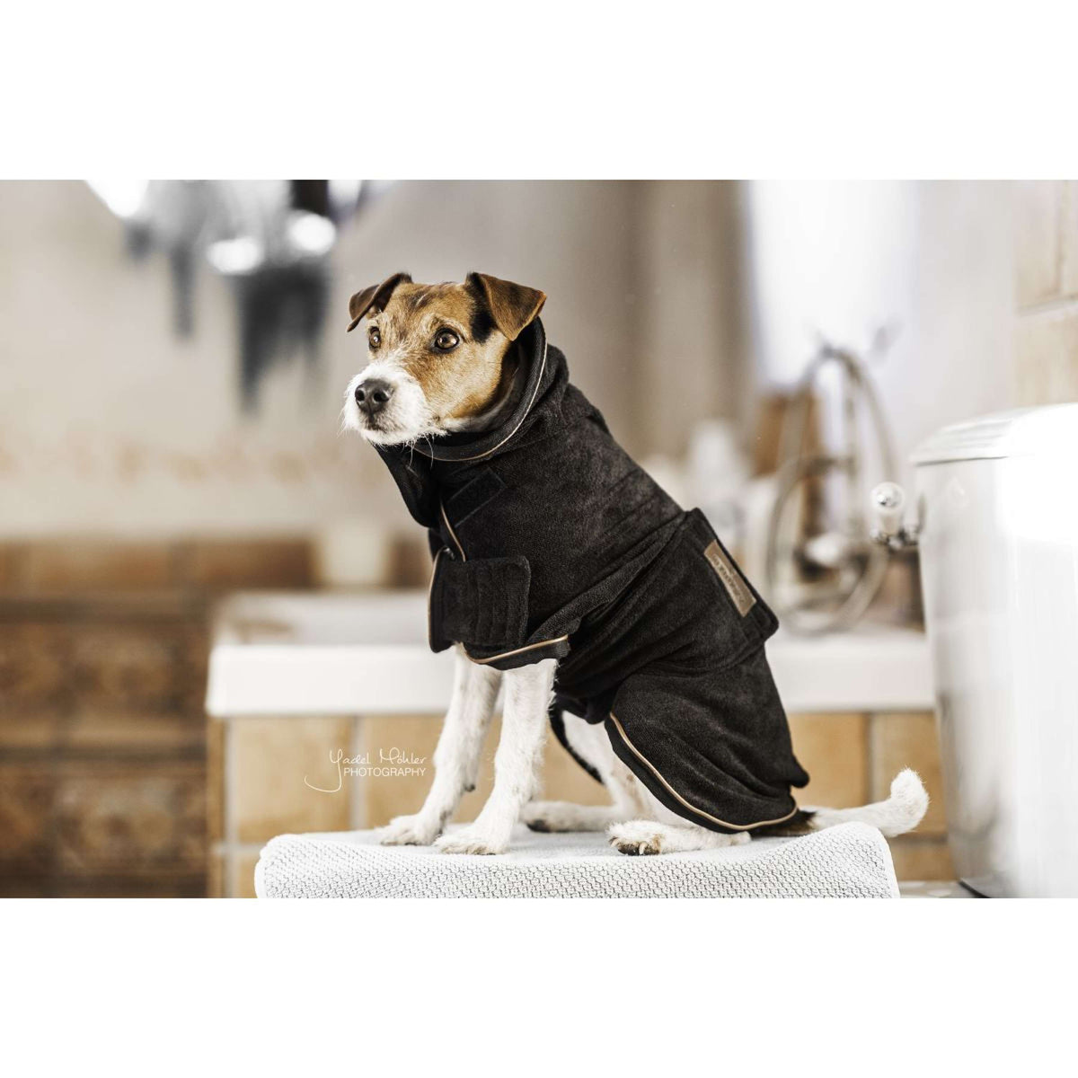 Kentucky Dog Coat Towel Schwarz