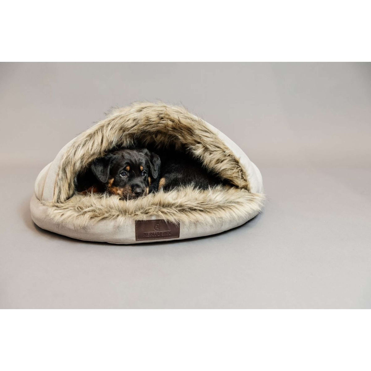 Kentucky Hundebett Igloo