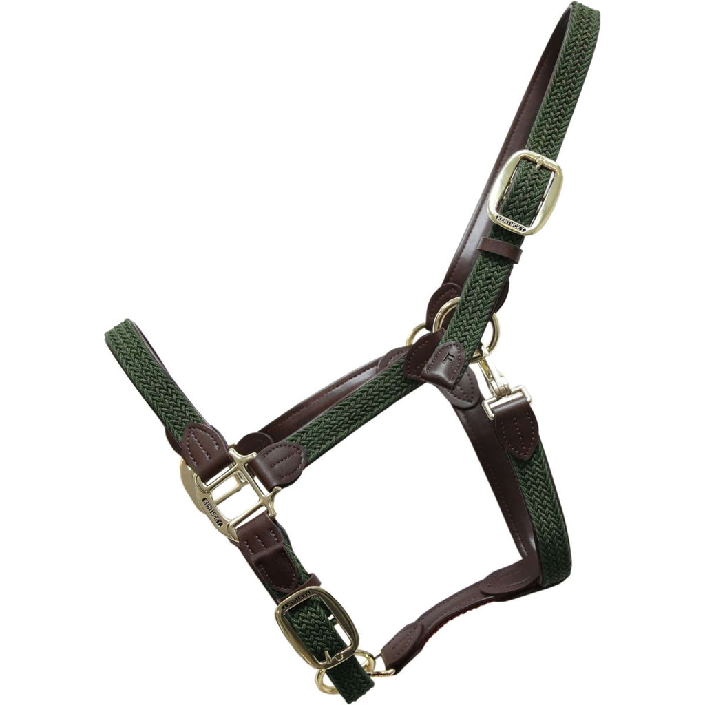 Kentucky Halfter Geflochten Nylon Olivgrün