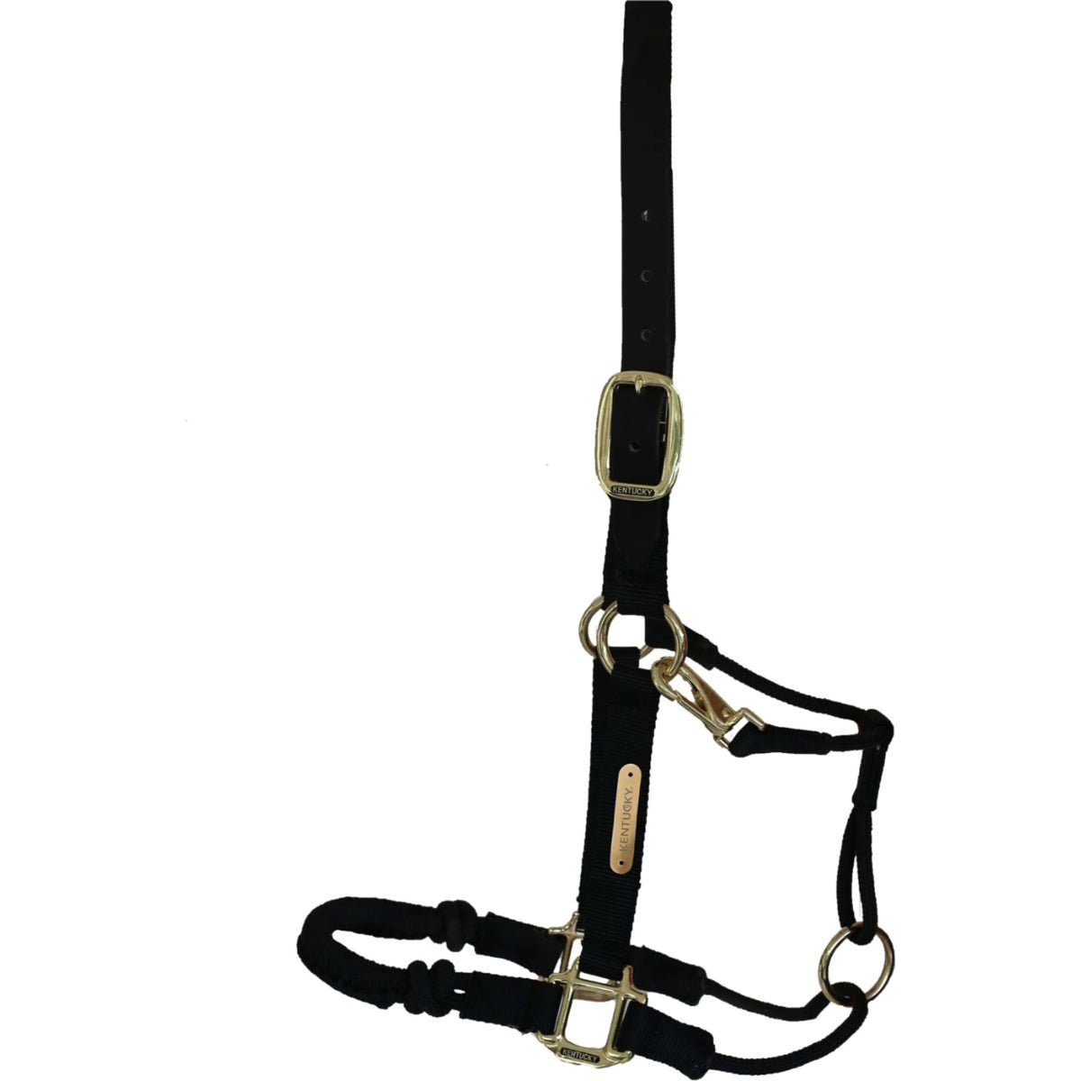 Kentucky Control Halter Nackenstück Schwarz