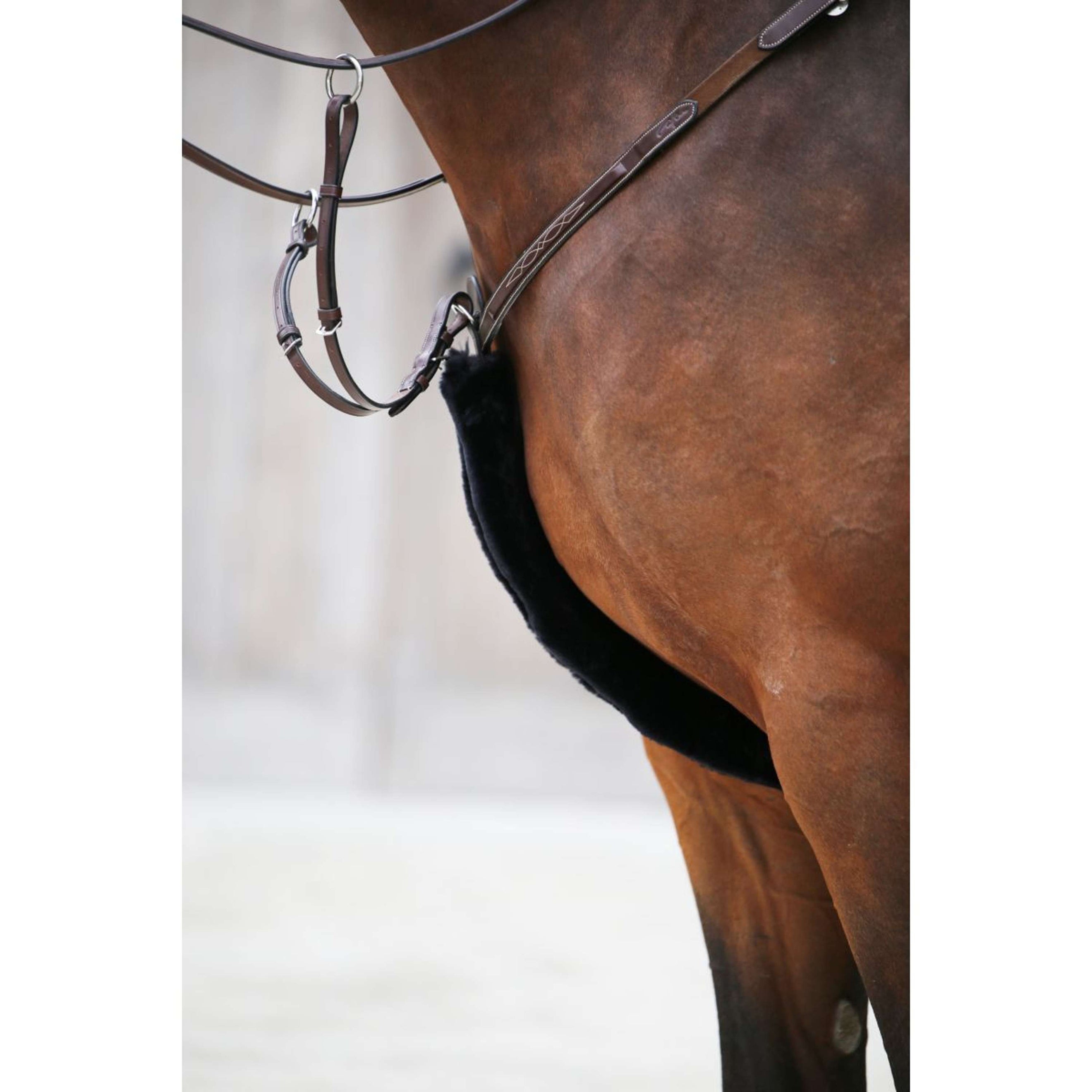 Kentucky Brustgeschirr Schutxbezug Sheepskin Schwarz Kentucky Brustgeschirr Schutxbezug Sheepskin Schwarz