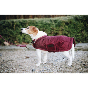 Kentucky Hundejacke Original Royal Bordeaux