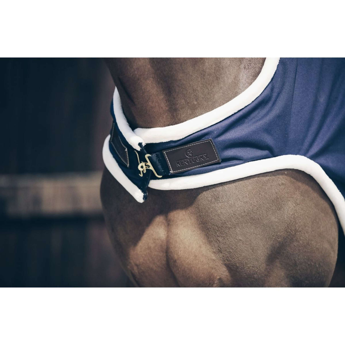 Kentucky Führanlagendecke Waterproof 160g Navy