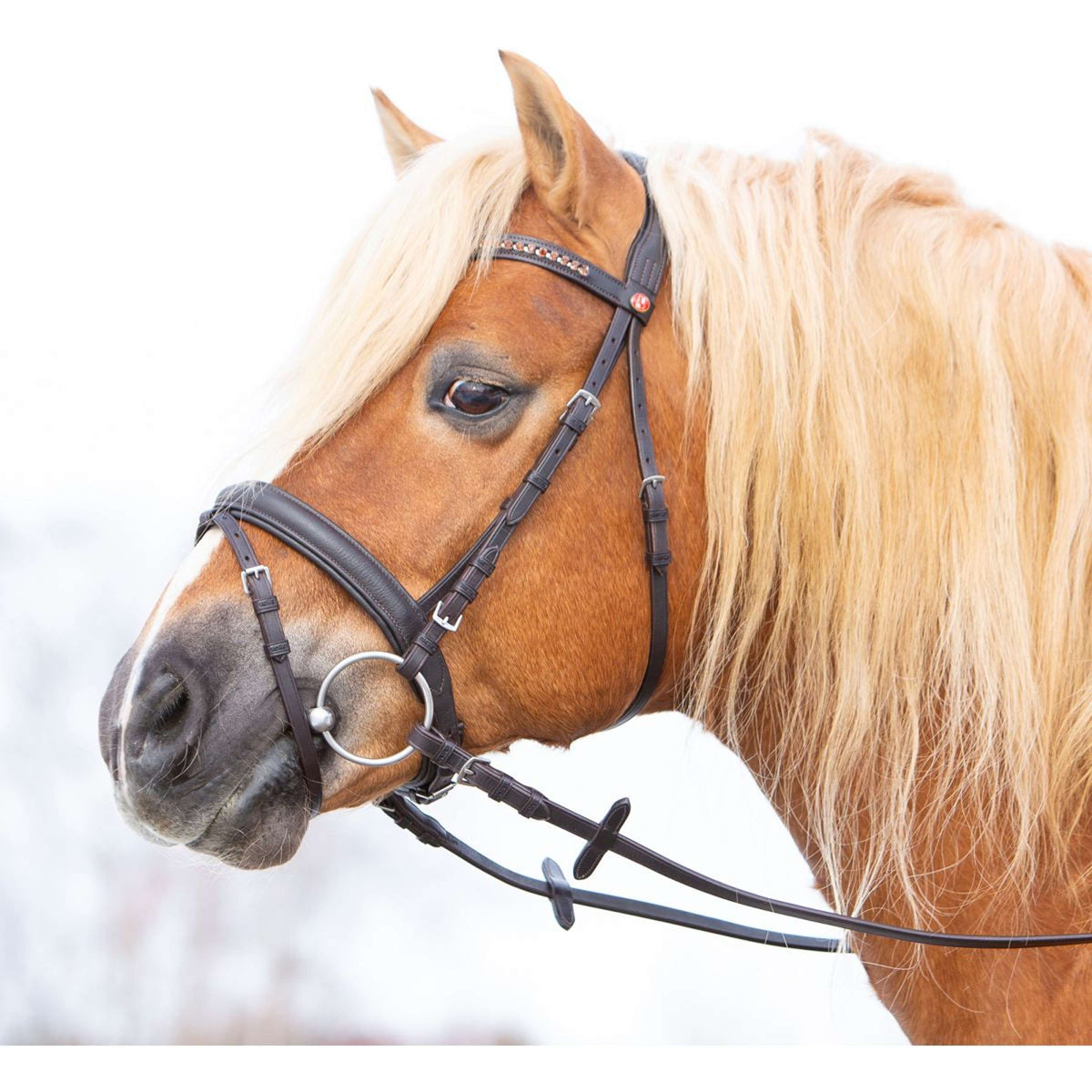 Kieffer Trense Ultrasoft Haflinger Braun/Braune Steinen