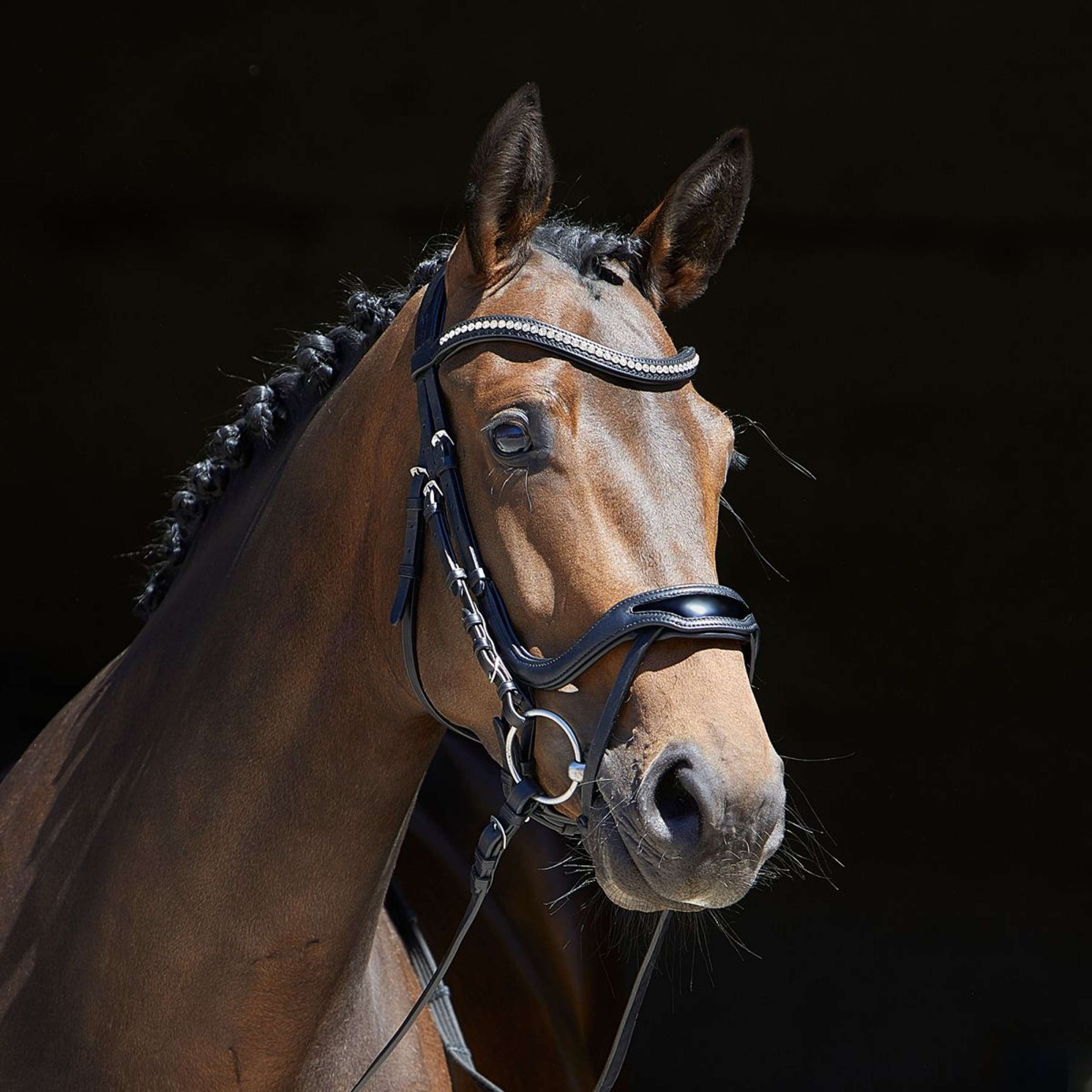 Kieffer Trense Softtech Line Anouk Schwarz/Lack Kieffer Trense Softtech Line Anouk Schwarz/Lack