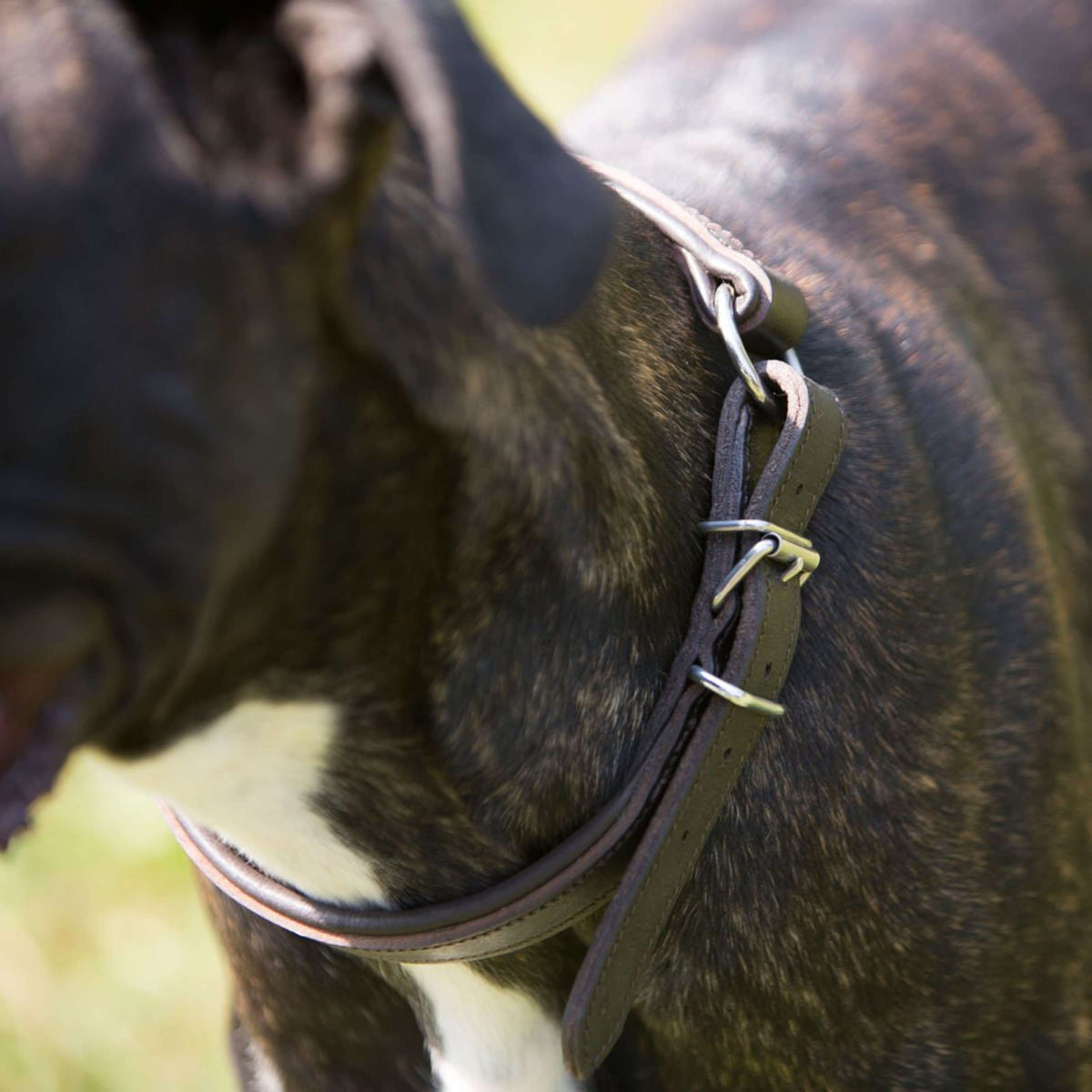 Kieffer Hundehalsband Ultrasoft Dressage Schwarz