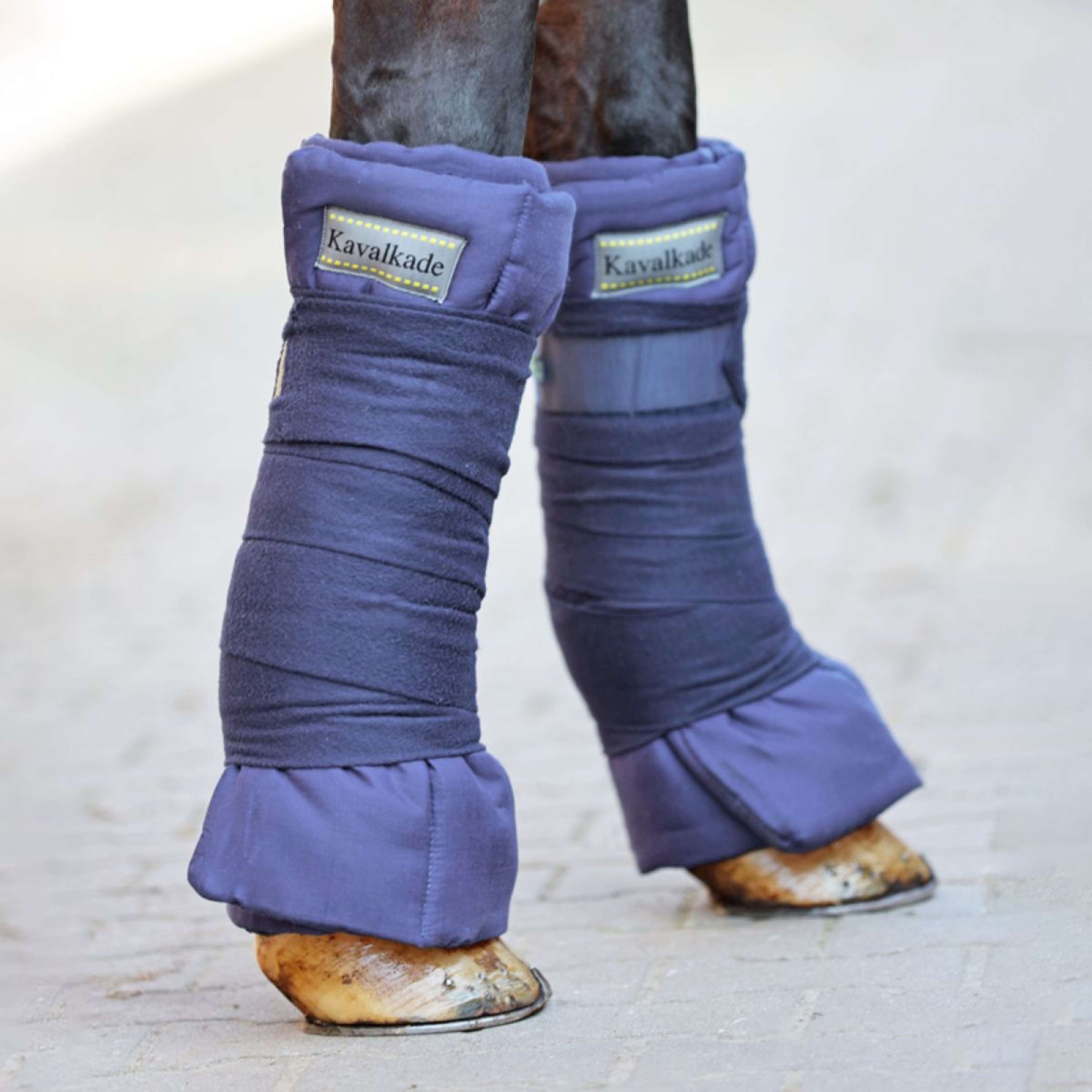 Kavalkade Unterlappen Navy