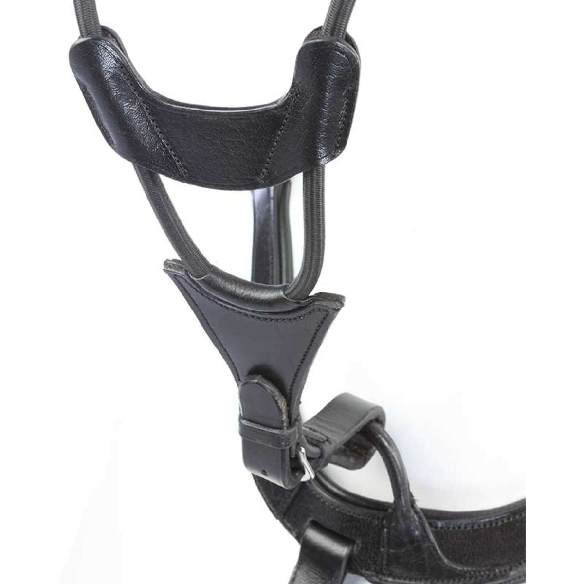 Kavalkade Vorderzeug Caya Schwarz