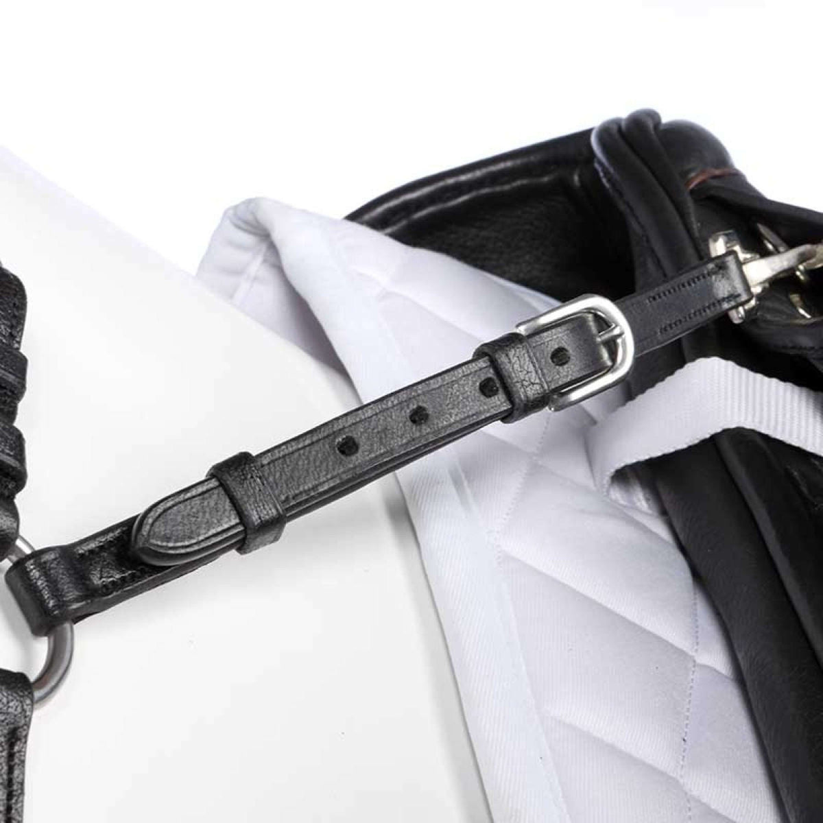 Kavalkade Vorderzeug Caya Schwarz