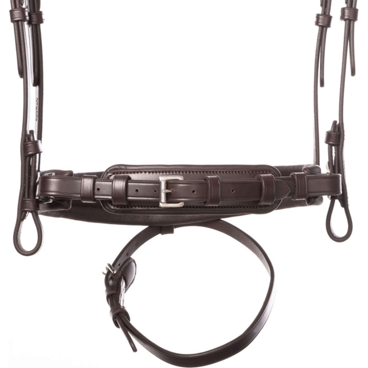 Kavalkade Zaum Zora Braun