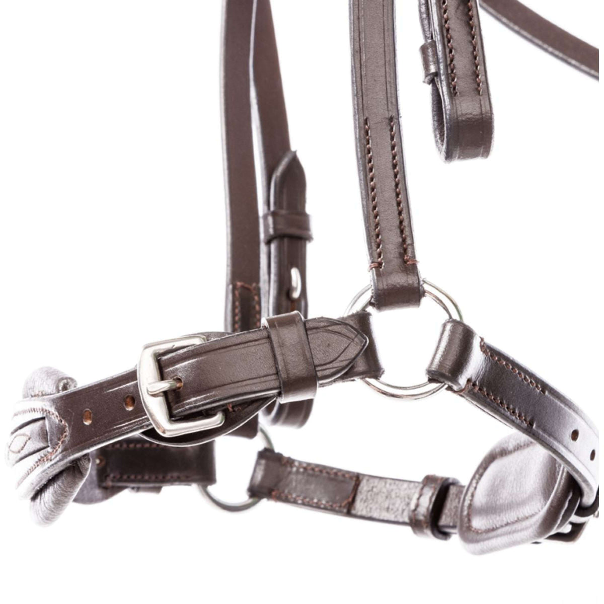 Kavalkade Trense Levana Hannoveraner Braun