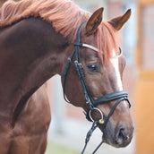 Kavalkade Trense Everness Schwarz