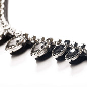 Kavalkade Stirnriemen Empress Schwarz/Weiß/Weiß