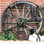 Kavalkade Zügel Cortica Vegane aus Kork Schwarz