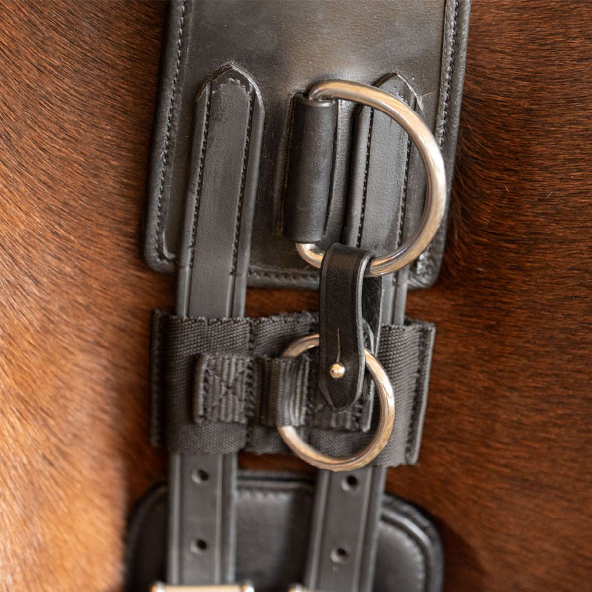 Kavalkade Longiergurt Frame Schwarz