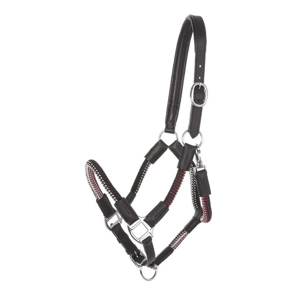 Kavalkade Halfter Cavo Cognac/Marine