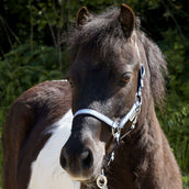 Kavalkade Halfter Shorty Petrol/Schwarz/Silber