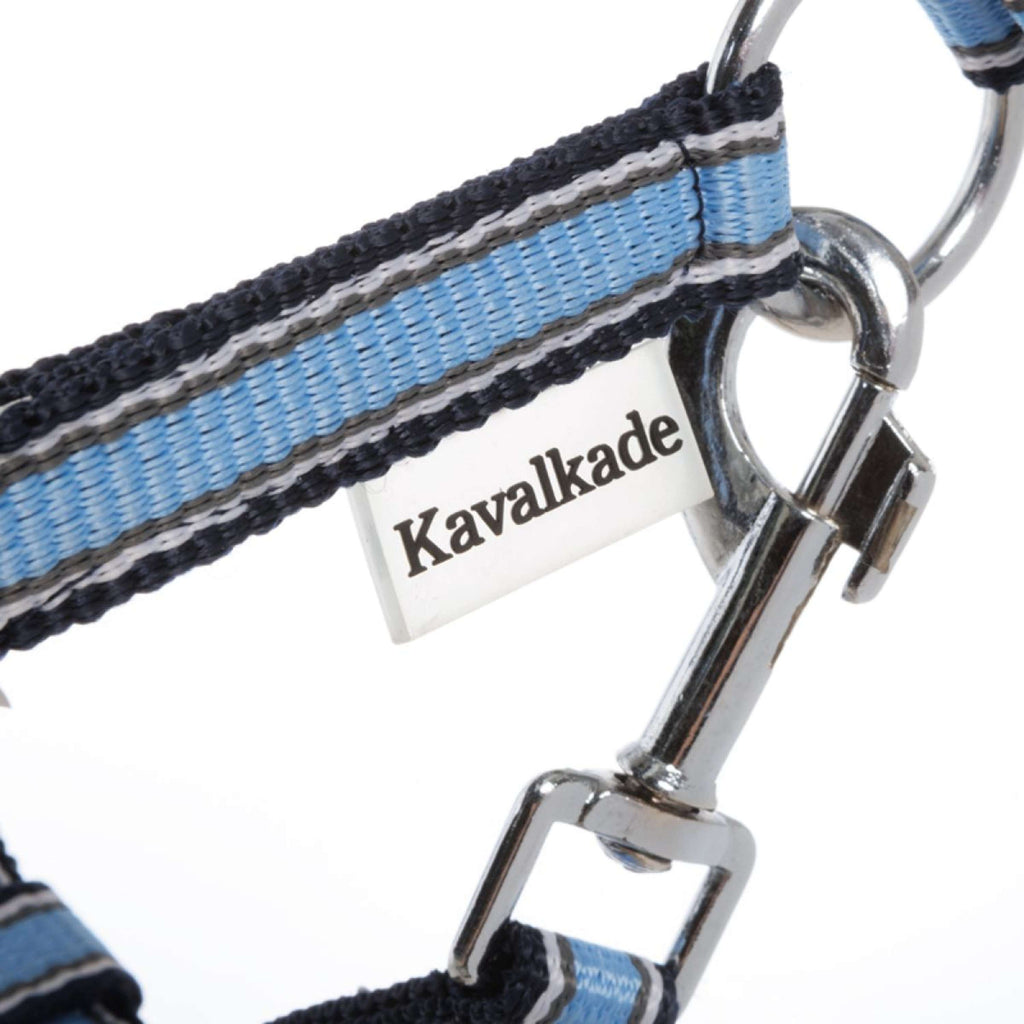 Kavalkade Halfter Shorty Petrol/Schwarz/Silber