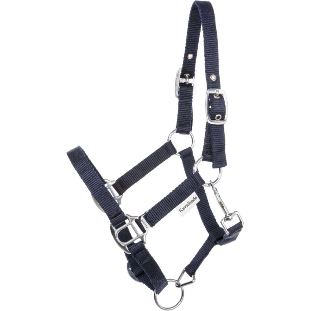 Kavalkade Halfter Shorty Navy