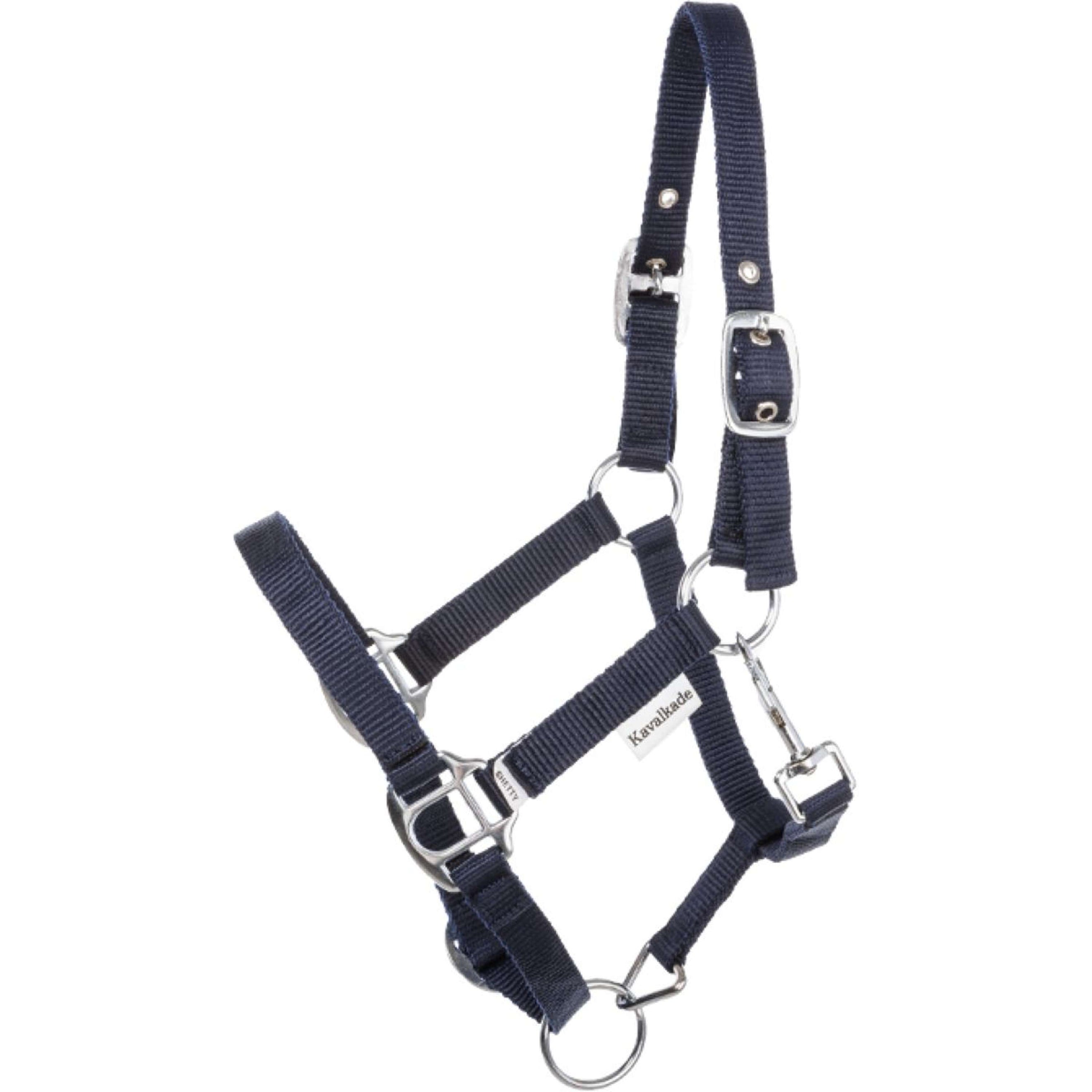 Kavalkade Halfter Shorty Navy