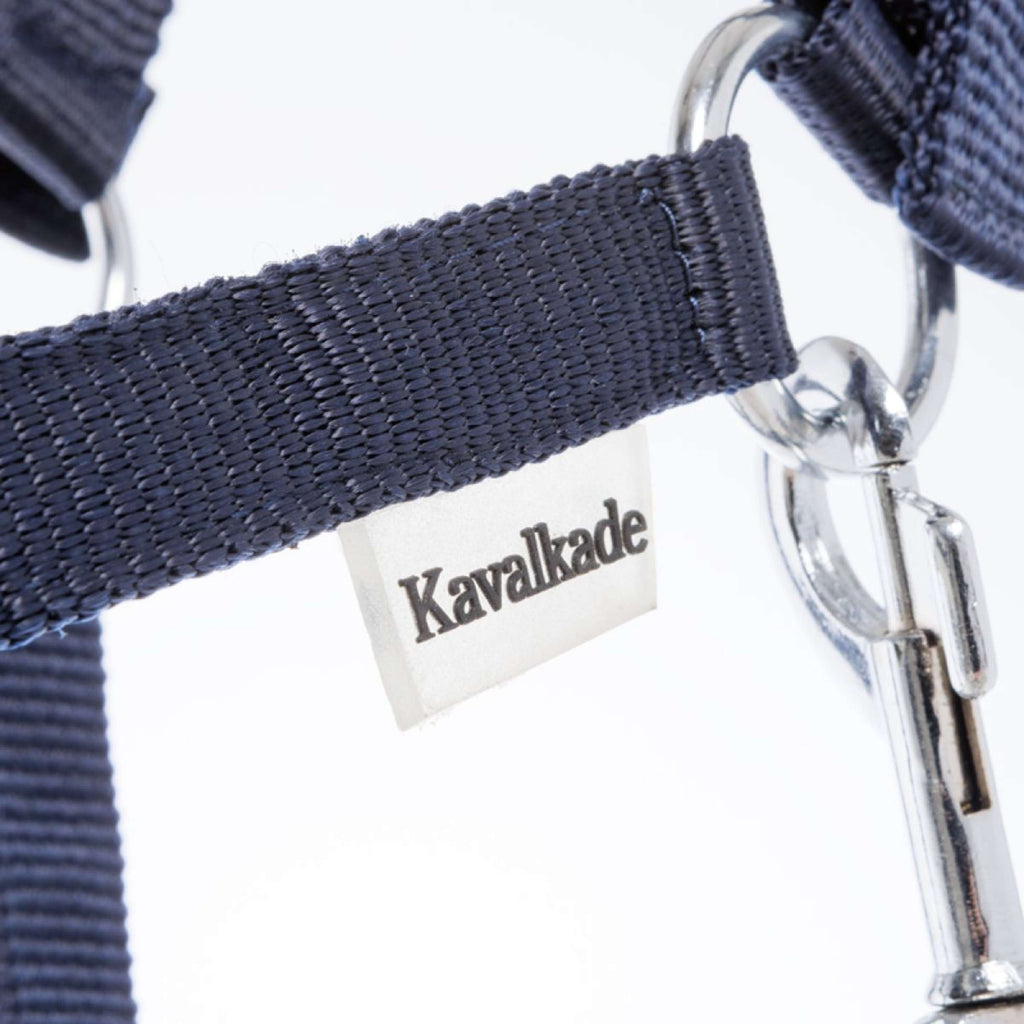 Kavalkade Halfter Shorty Navy
