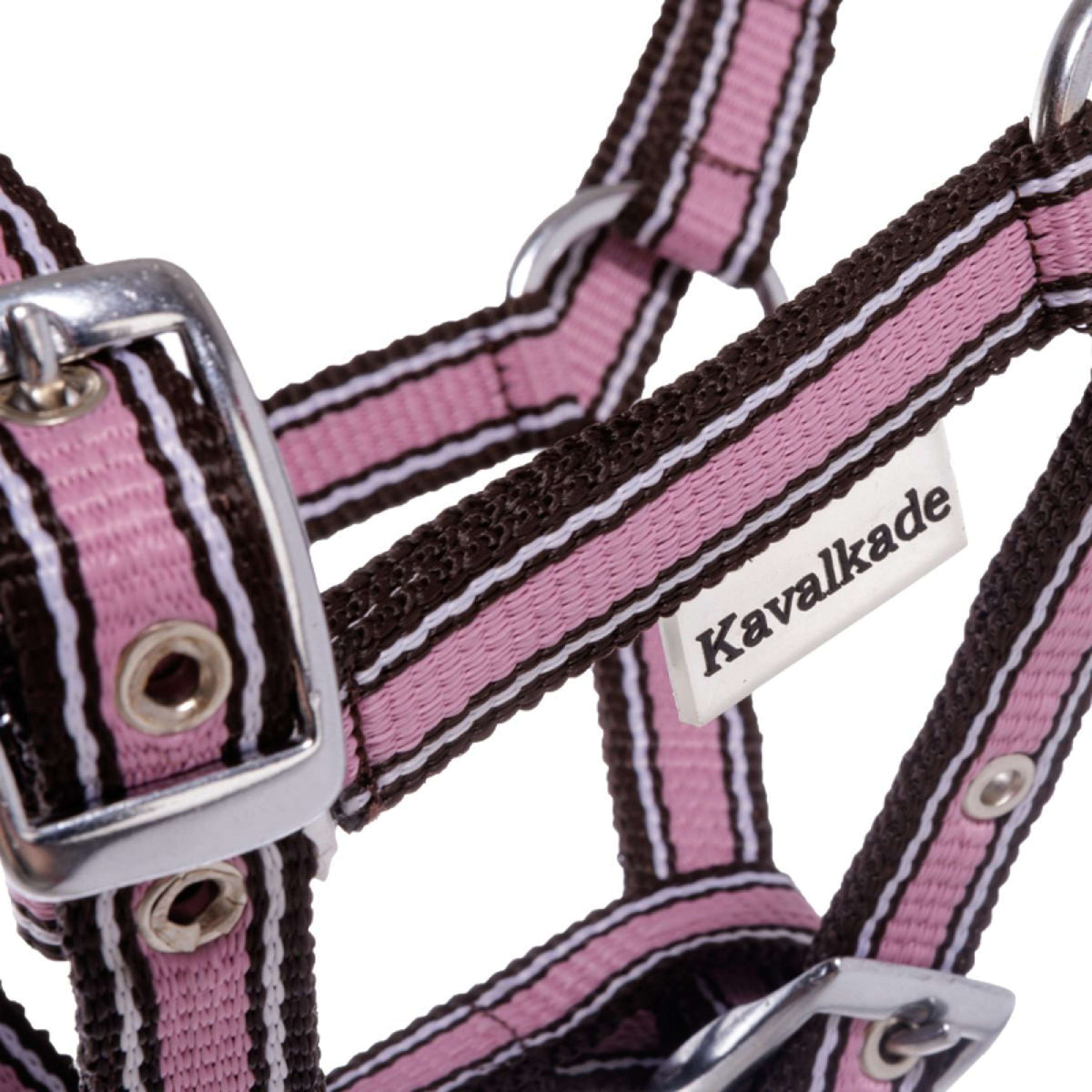 Kavalkade Fohlen- und Jährlingshalfter Rosa