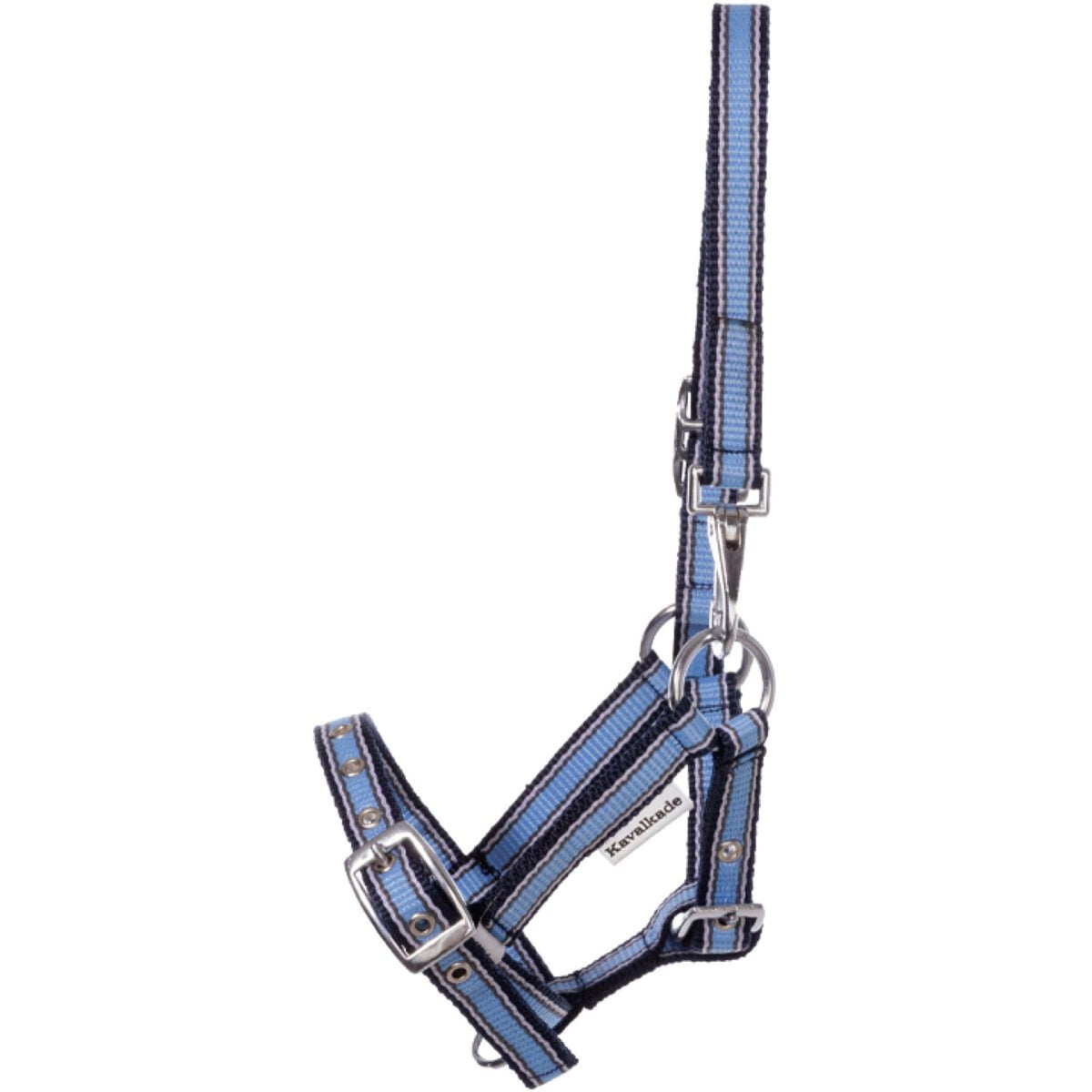 Kavalkade Halfter Foal/Yearling Schwarz