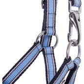 Kavalkade Halfter Foal/Yearling Hellblau/Marineblau/Weiß