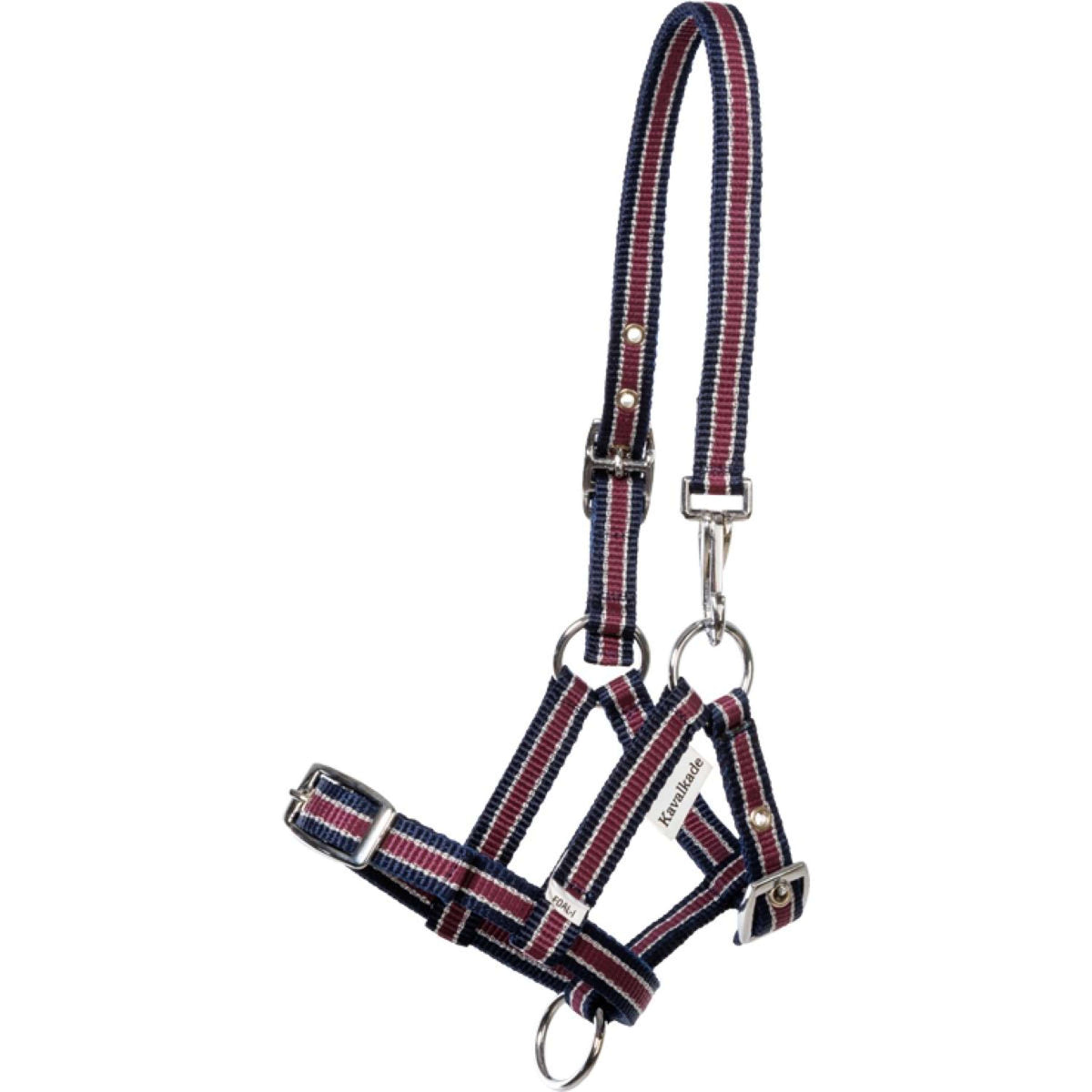 Kavalkade Halfter Foal/Yearling Marineblau/Bordeaux/Silber