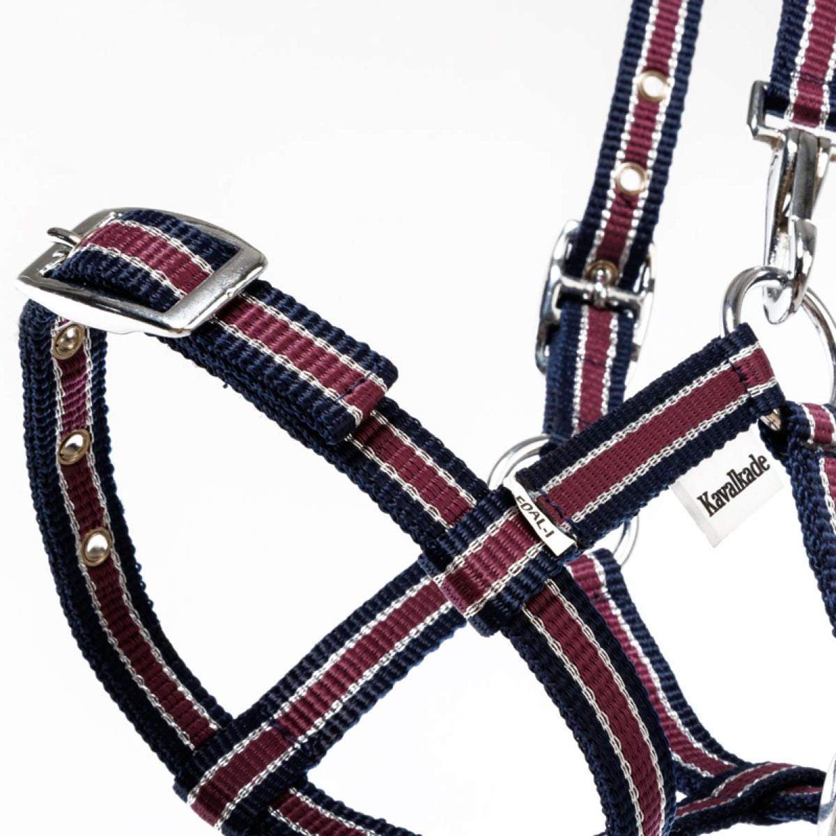 Kavalkade Halfter Foal/Yearling Marineblau/Bordeaux/Silber