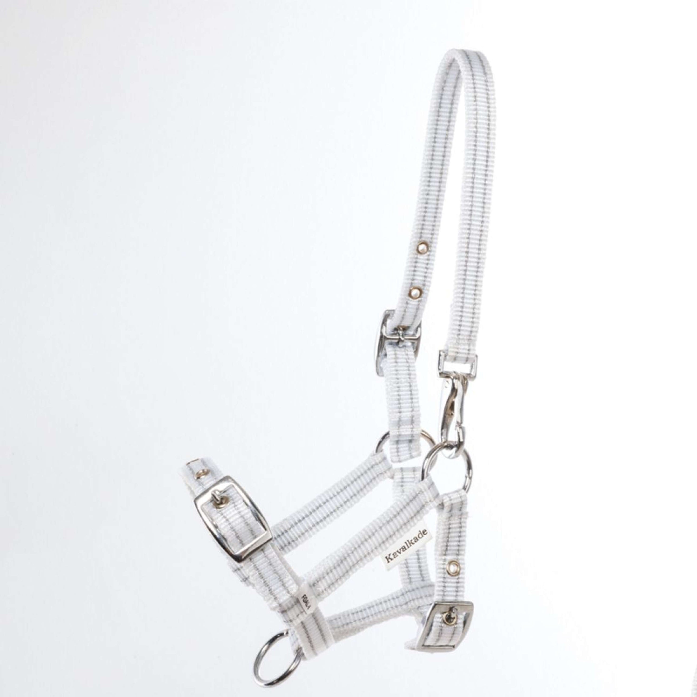 Kavalkade Halfter Foal/Yearling Weiß Silber