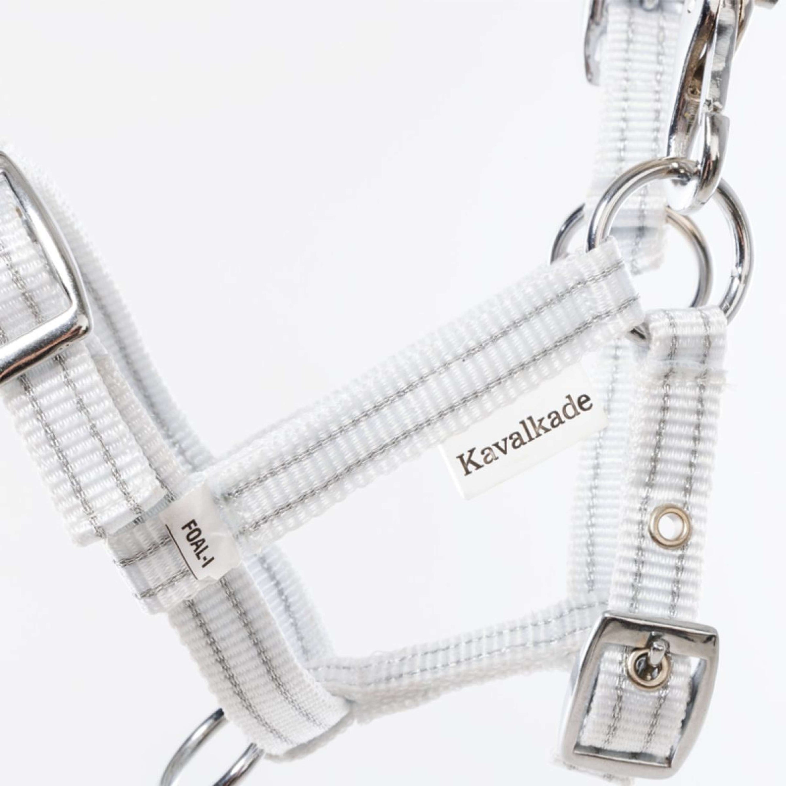 Kavalkade Halfter Foal/Yearling Weiß Silber Kavalkade Halfter Foal/Yearling Weiß Silber