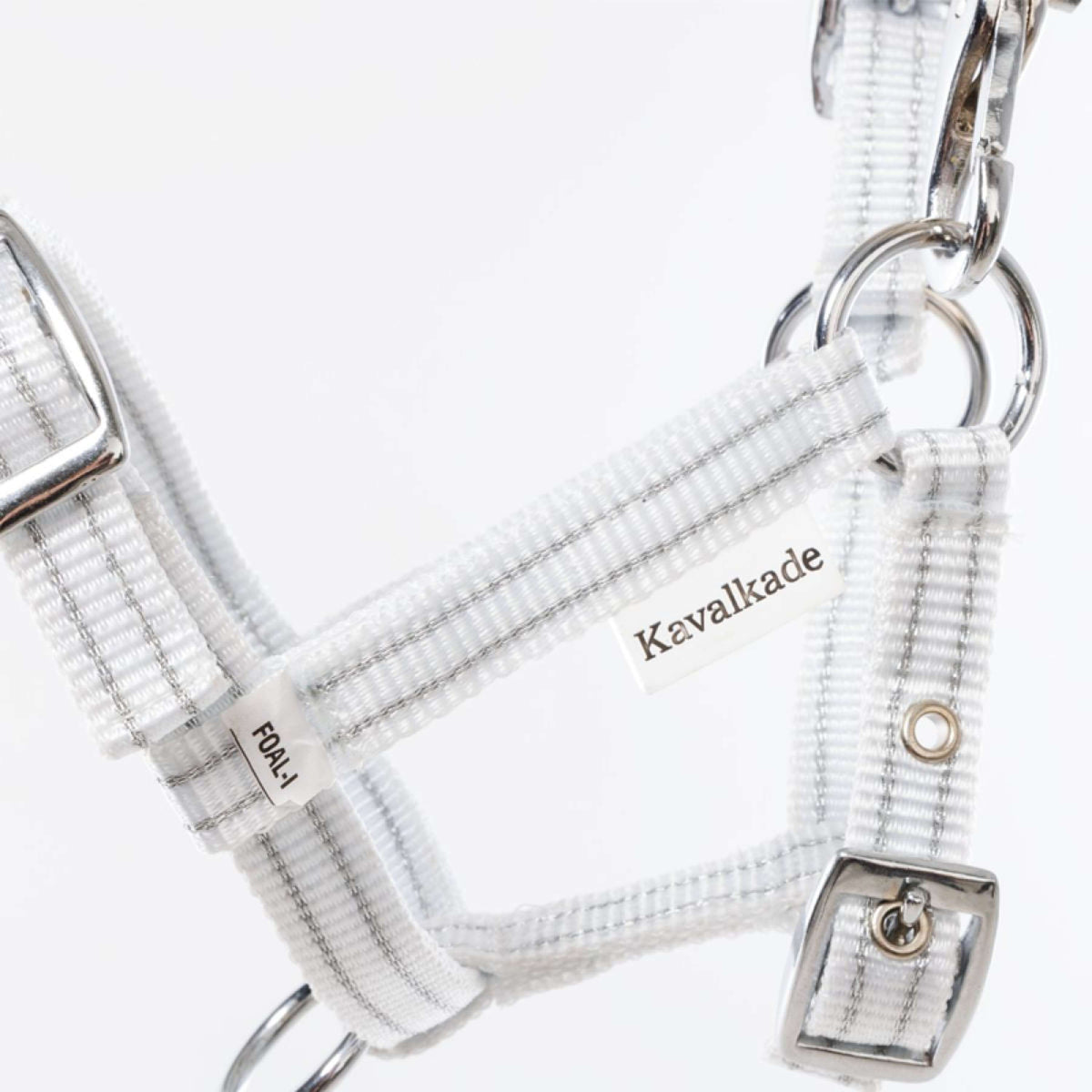 Kavalkade Halfter Foal/Yearling Weiß Silber