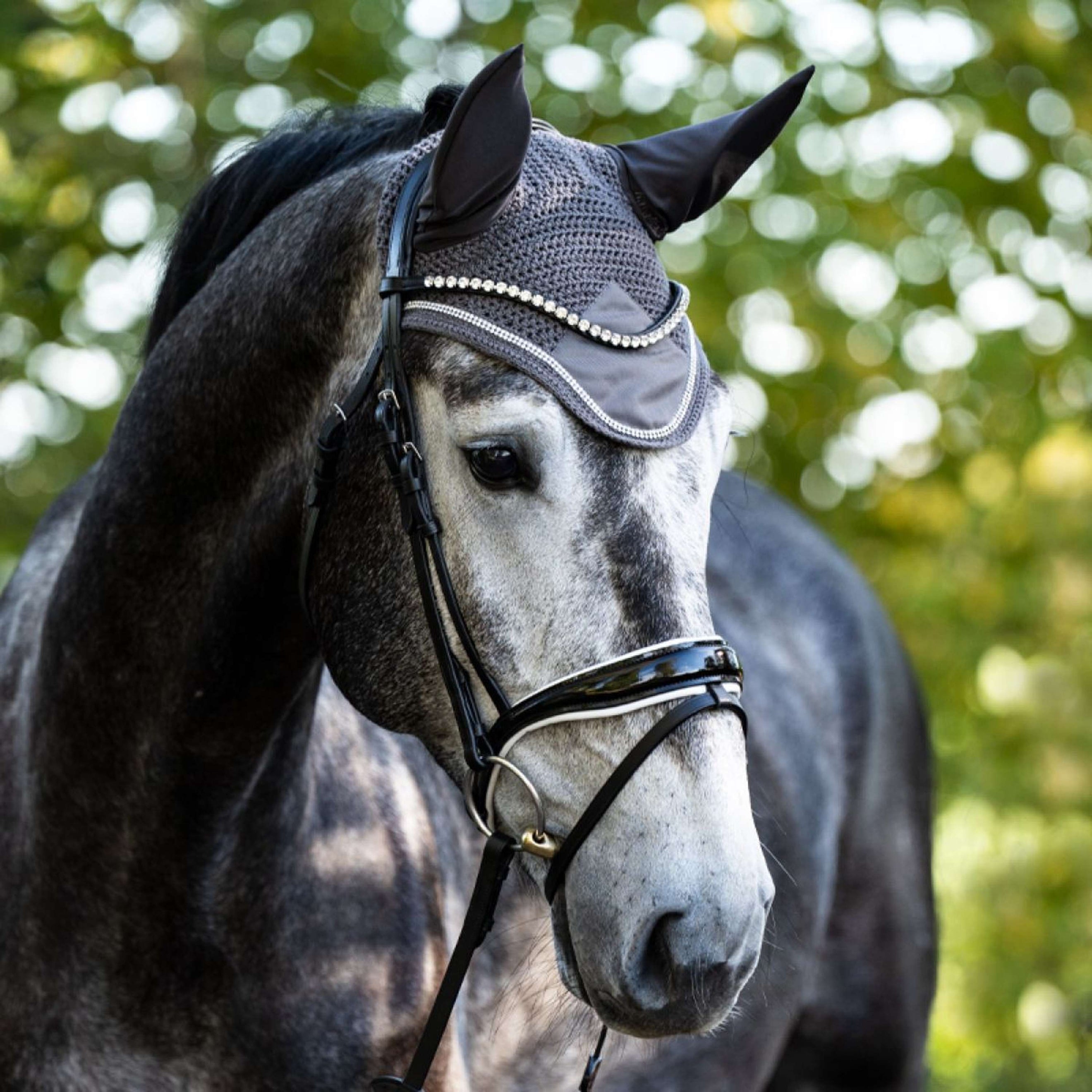 Kavalkade Fliegenhaube mit Strasssteinen Anthrazit