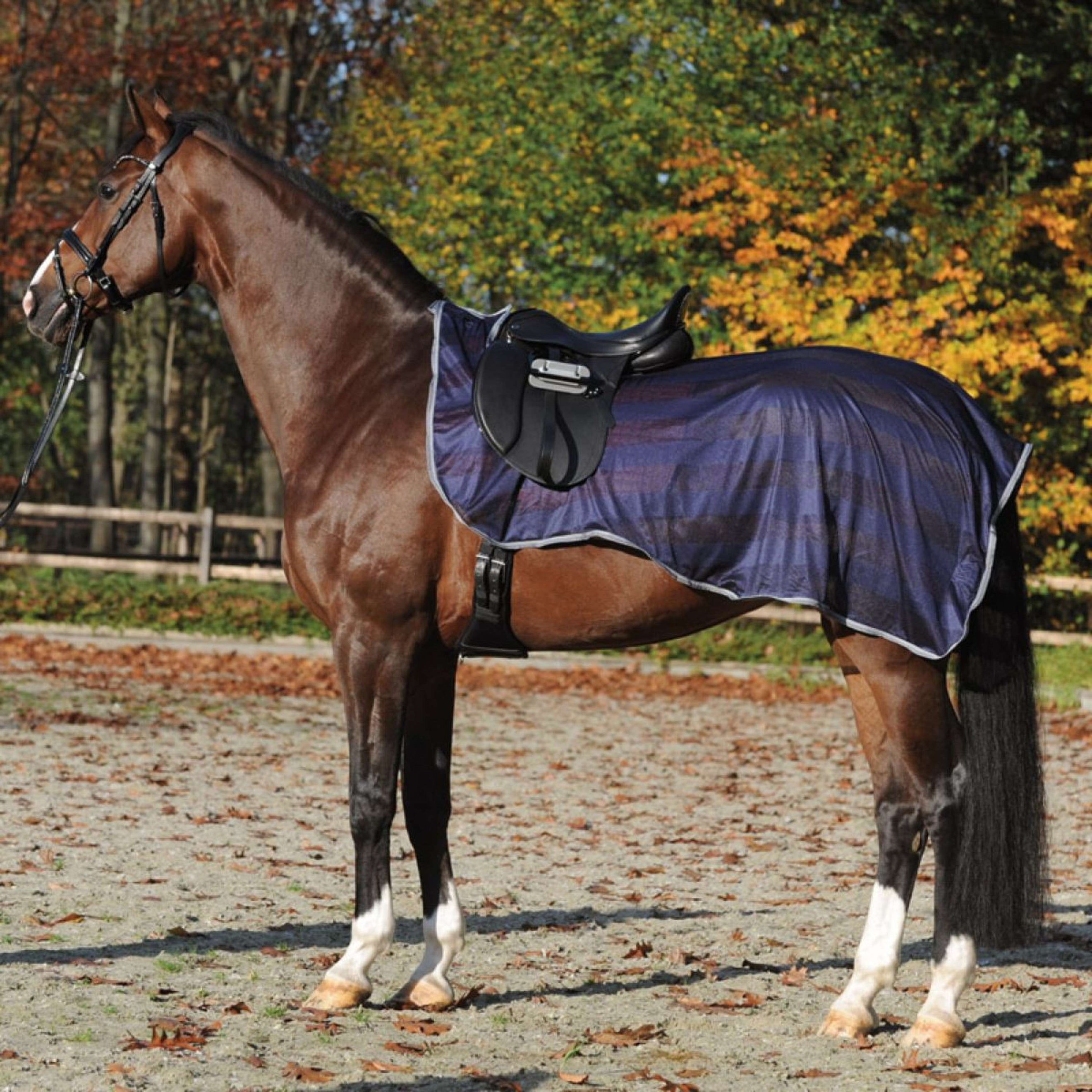 Kavalkade Ausreitdecke Fly Marine/Grau