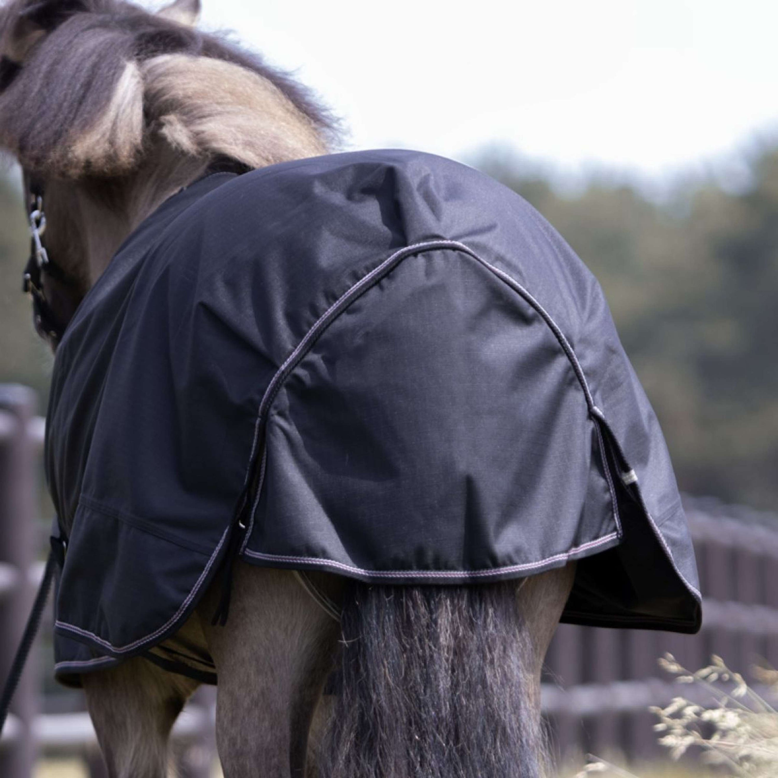 Kavalkade Outdoordecke Iceland 50g Schwarz/Schwarz/Bordeaux/Grau