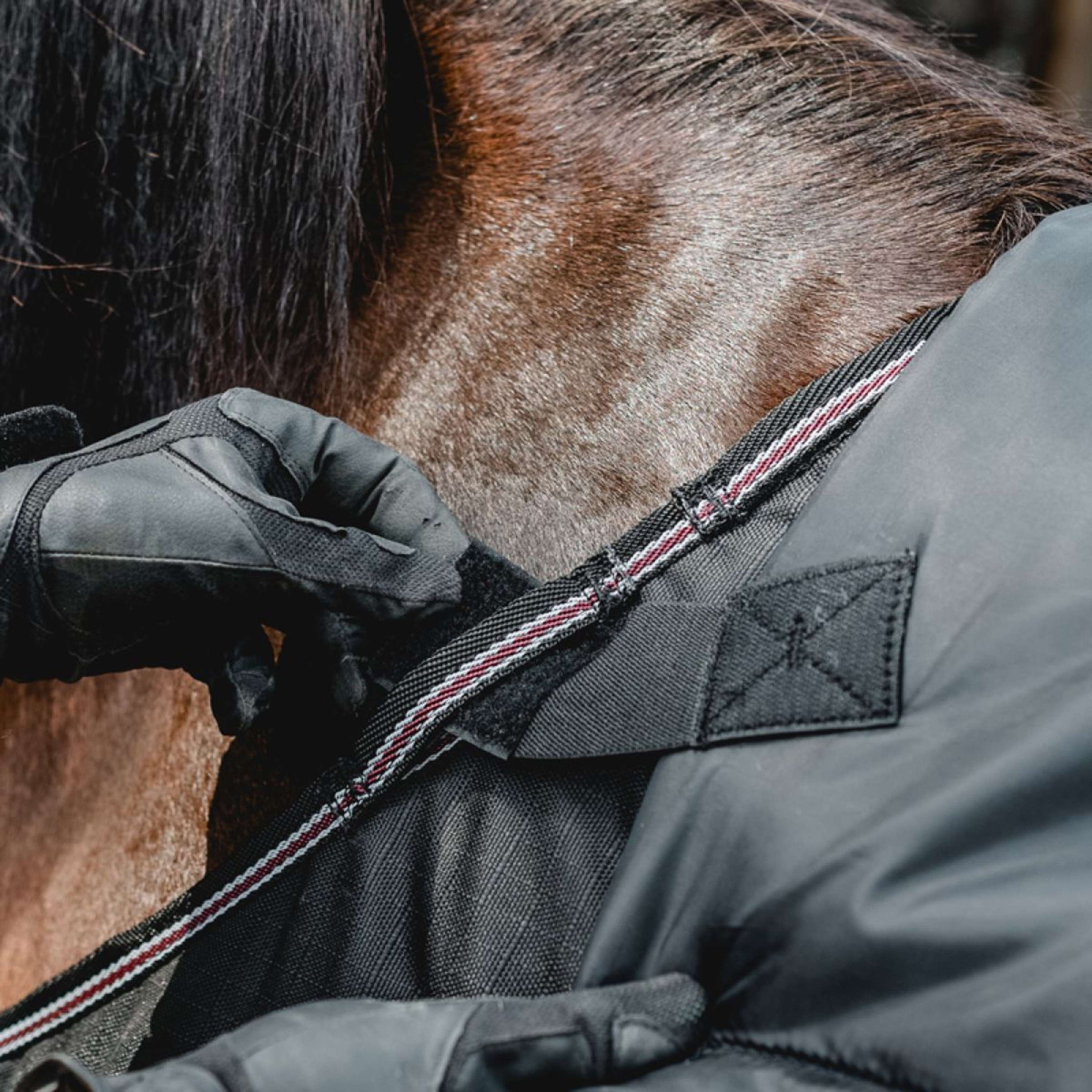 Kavalkade Halsstück Iceland 50g Schwarz/Schwarz/Bordeaux/Grau Kavalkade Halsstück Iceland 50g Schwarz/Schwarz/Bordeaux/Grau