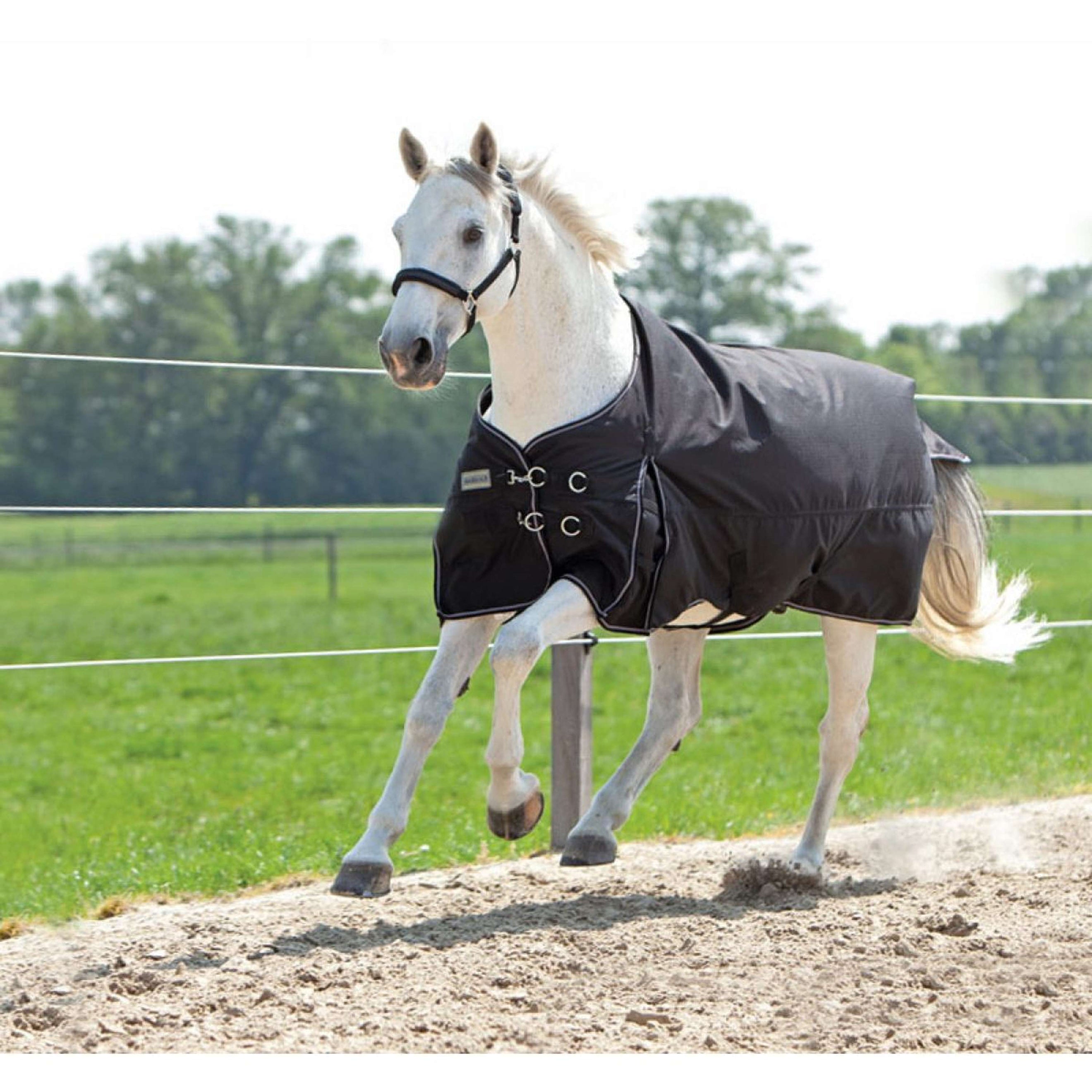 Kavalkade Outdoordecke Alaska IV 300g Schwarz