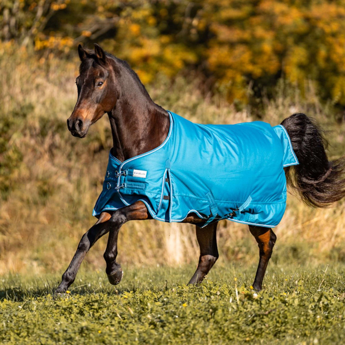 Kavalkade Outdoordecke Alaska IV 100g Petrol/Petrol/Bordeaux/Weiß